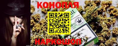 крисы Можайск